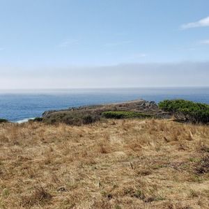 Meet your Posher, Clare